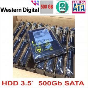   HDD 3.5 SATA  